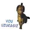 Ciuchino (in Shrek) 9