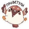 ПРИВЕЛУЛИ T