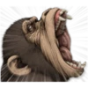 chimp 25