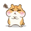 Chloe the hamster 25