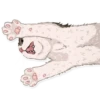 Chipsandkis 8