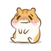 Chloe the hamster 26