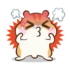 Chloe the hamster 27