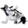 ChipperWolf 11