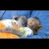 monke 24