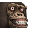 chimp 26