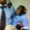 monke 26