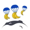 StickersChimpion 19