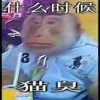 monke 27