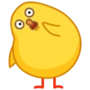 chick 28