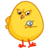 chick 29