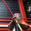 monke 29