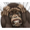 chimp 29