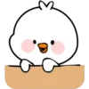 WhItE DuCk 5