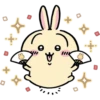 Chiikawa (Usagi) 5