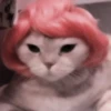 cats 2 ۫ 9