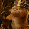 garfield 5
