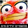 מהשמיים יורדים מים