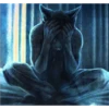 cats 7