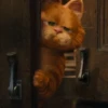 garfield 6