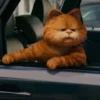 garfield 7
