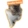 Kitty Schmity 5