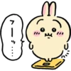 Chiikawa (Usagi) 11