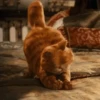 garfield 8