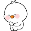 WhItE DuCk 12