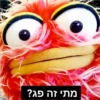 מתי זה פג?