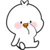WhItE DuCk 13