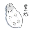 Machiko15 16