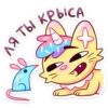 candycat_vk 19