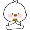 WhItE DuCk 15