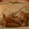 garfield 9