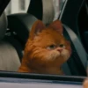 garfield 10