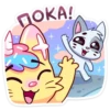 candycat_vk 20