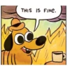 THIS IS FINE.
C