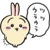 Chiikawa (Usagi) 20