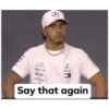 F1 text 17