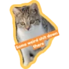 Kitty Schmity 7