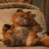 garfield 11