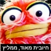 חיובית מאוד, ממליץ