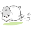Machiko20 9