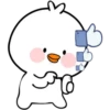 WhItE DuCk 19