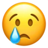 IOS Emoji 2 19
