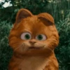 garfield 12