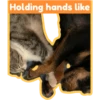 Kitty Schmity 8