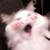 111