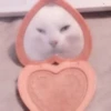 cats 2 ۫ 25